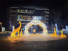 北京市大兴区天宫院街道春节节日灯光氛围营造工程