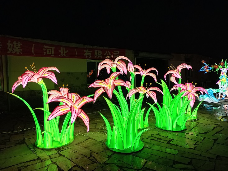 朱顶红花灯组
